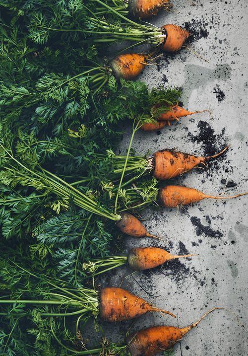 Garden's Bounty: Fresh-Picked Veggie Medley